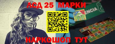 гашик Будённовск