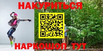 гашик Будённовск