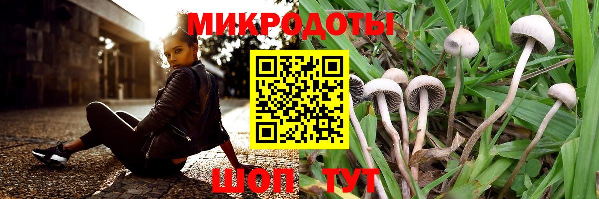 Осинники  Галлюциногенные грибы мицелий  Вход с VPN  наркошоп  Псилоцибиновые грибы MAGIC MUSHROOMS 